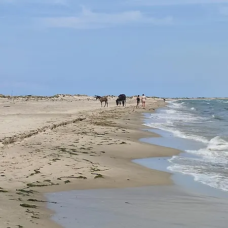 Les Dunes * Le Grau-du-Roi