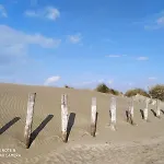 Les Dunes Apartament *