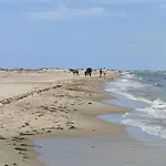 Les Dunes * Le Grau-du-Roi