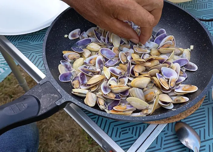 Appartement Les Dunes *