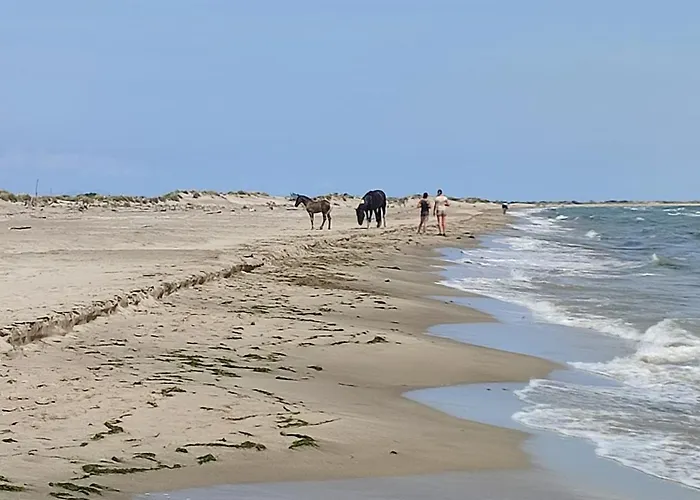 Les Dunes * Le Grau-du-Roi